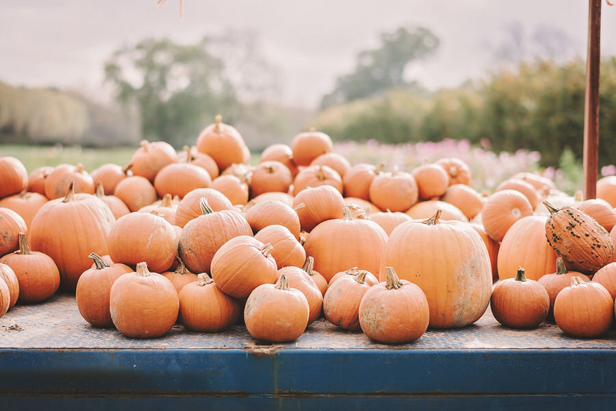 Pumpkins